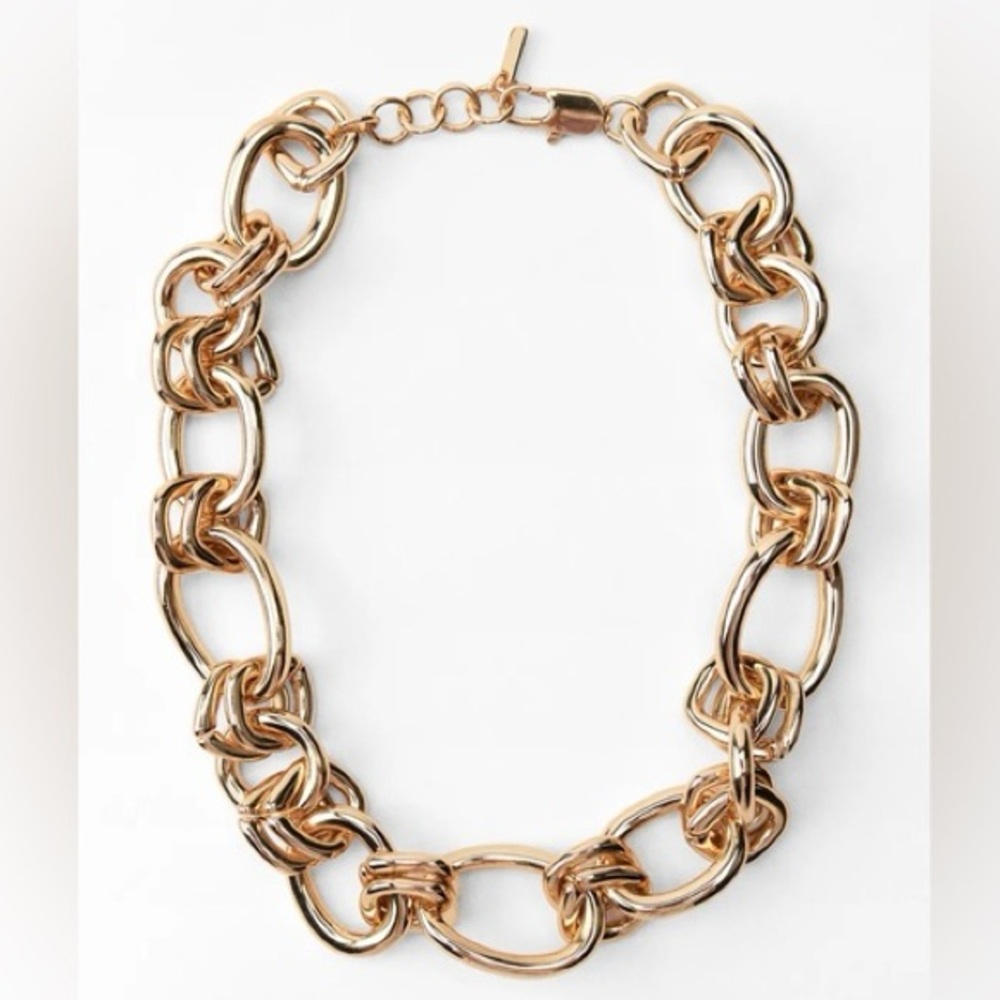 NWT Zara Oval & Circle Link Statement 19.5mm Necklace.